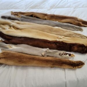 Assorted Fur Pelts in Earthy Tones